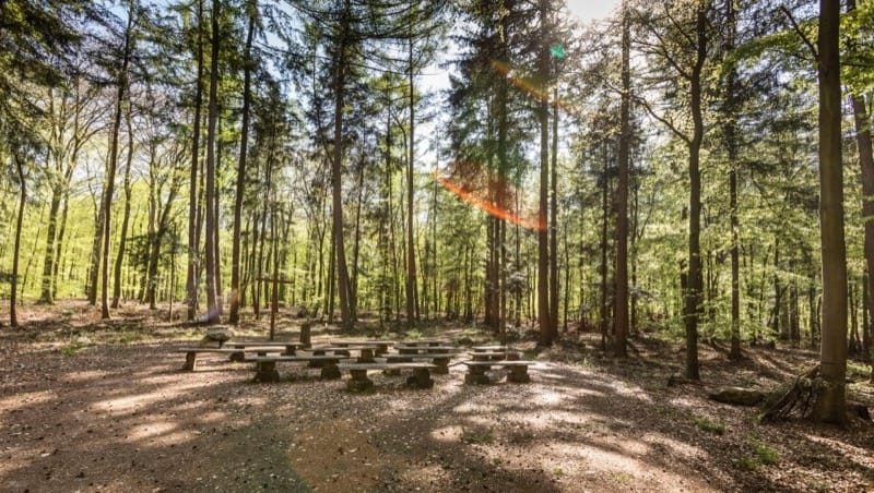 Andachtsplatz im FriedWald Buxtehude, Foto: FriedWald