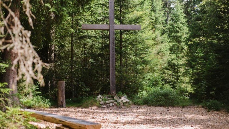 Andachtsplatz im FriedWald Friedenweiler, Foto: FriedWald