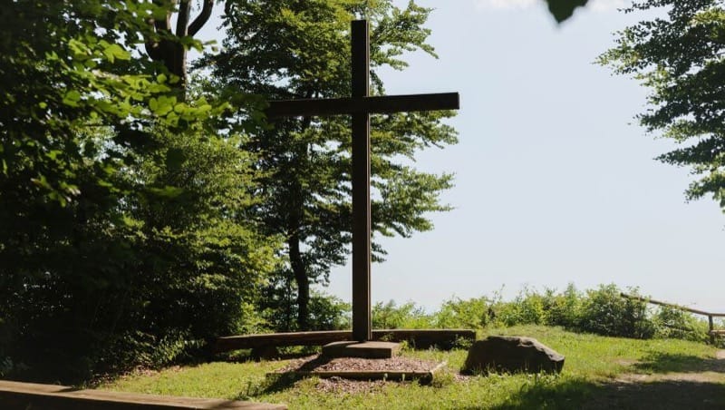 Andachtsplatz im FriedWald Heiligenberg, Foto: FriedWald